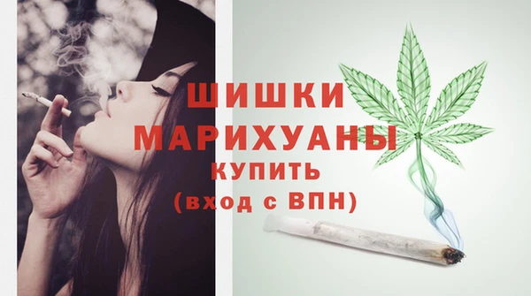 амф Новозыбков