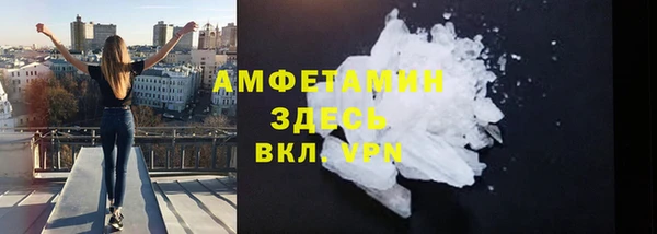 амф Новозыбков