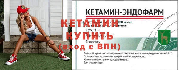 амф Новозыбков